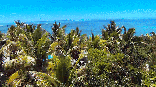 又挖到一个宝藏小国免签直飞上榜lp2019年度榜单还私藏地球最炫丽七色