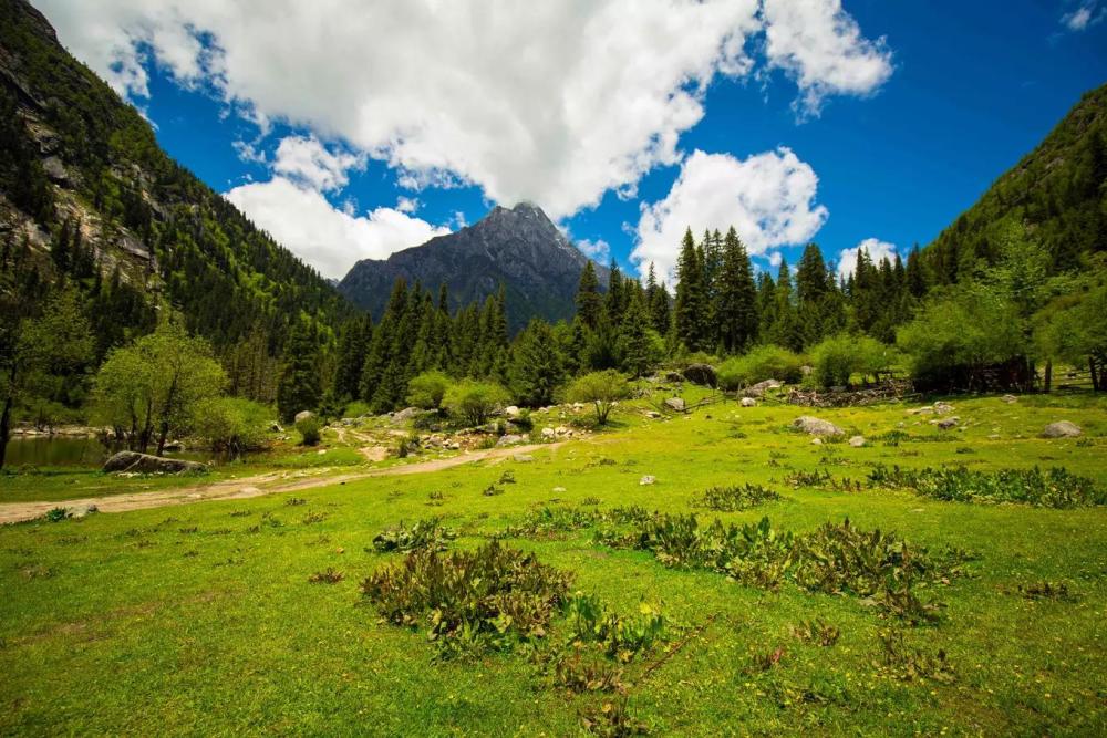 长坪沟,我们来了,又走了.四姑娘山,期待下一季节的再见!