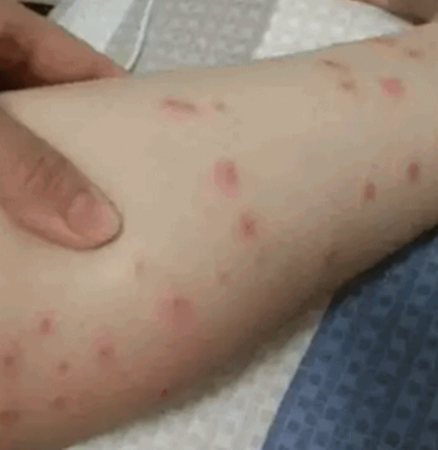 639_657 gif 动态图 动图