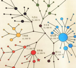 欧洲祖先的大多数人都可以从亲戚的dna中识别出来 看点快报