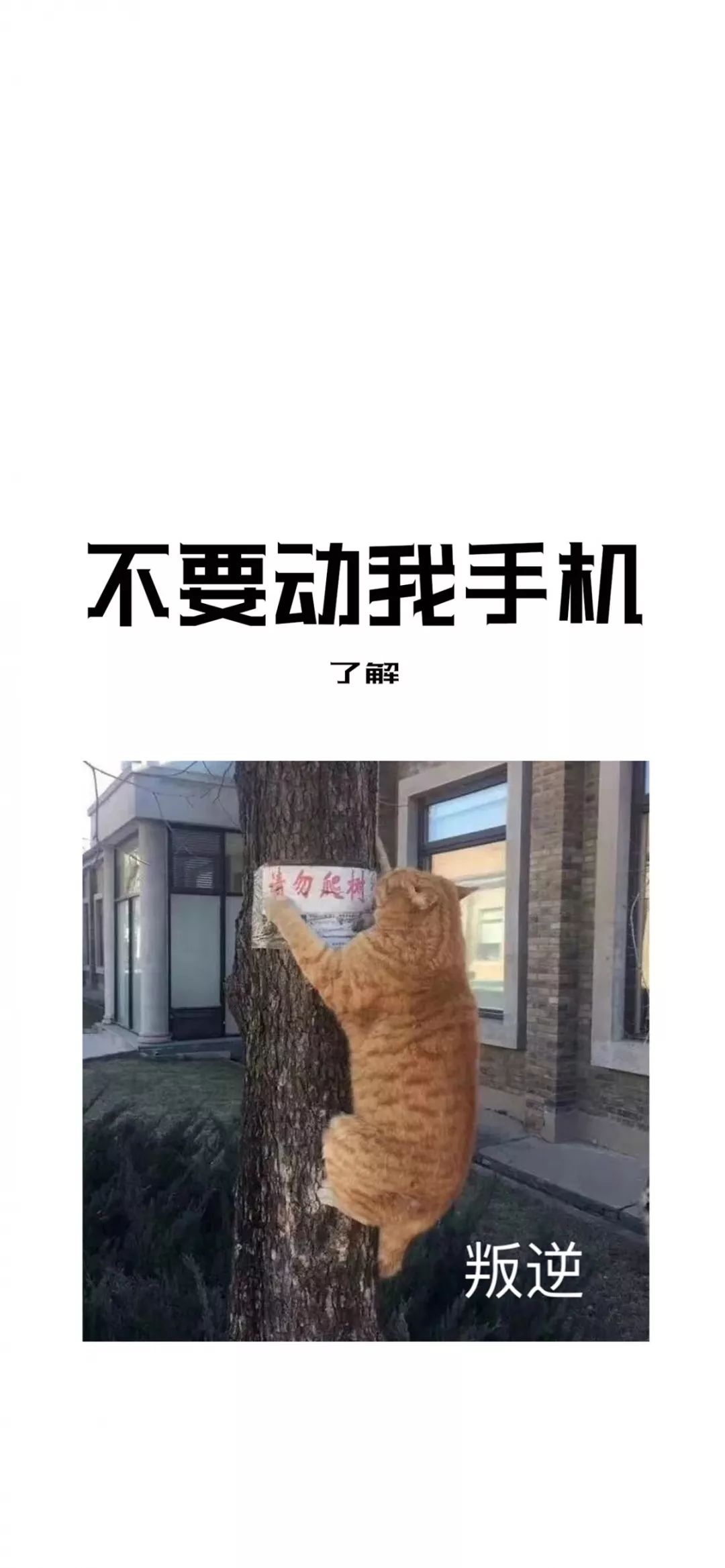 精选壁纸 不要动我手机