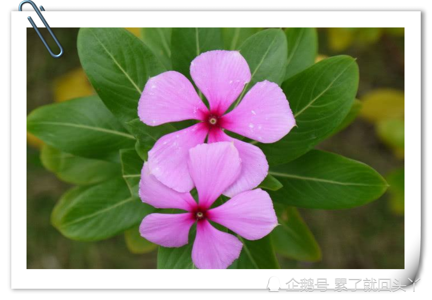 天天快报kuaibao
