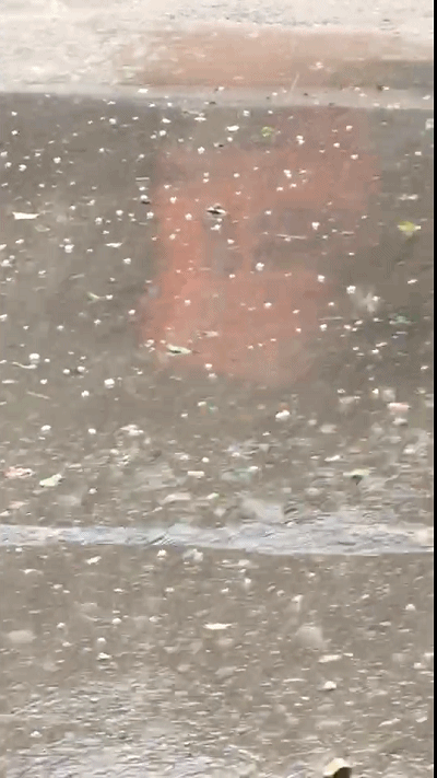 在孤山↓↓↓在城北园区↓↓↓在靖江城北是冰雹啊!