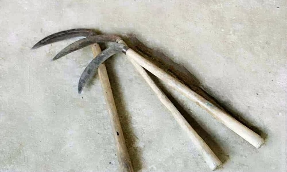这个叫镰刀,旧时候用来割草或者割稻子的工具,以前家家户户都有的老