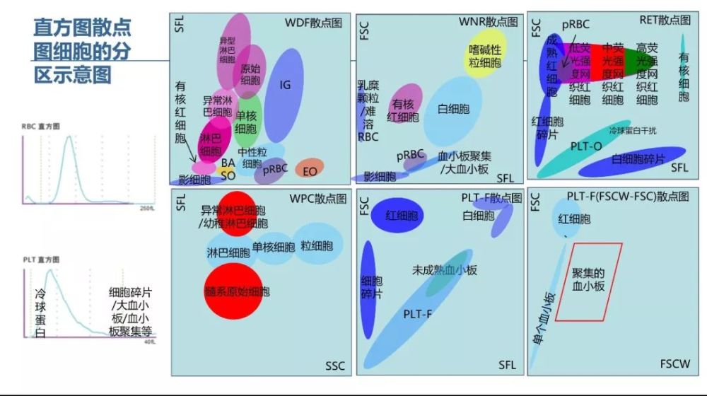 xn系列血液分析仪直方图和散点图的含义以及常见异常结果的案例分析