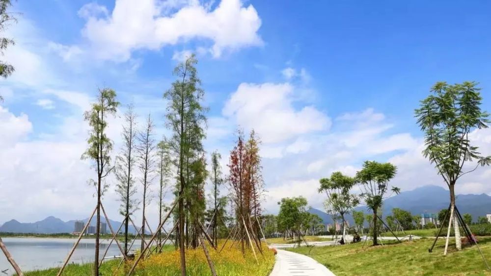 肇庆新区,肇庆,鼎湖区,湿地
