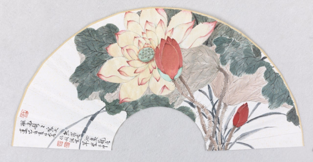 微个展 冷香逸韵——聂彦锋没骨花鸟画扇面作品