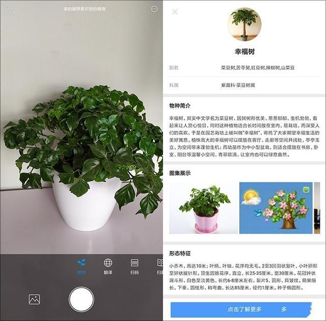 miui系统中的"扫一扫"功能,不知道很可惜,万物皆可扫!