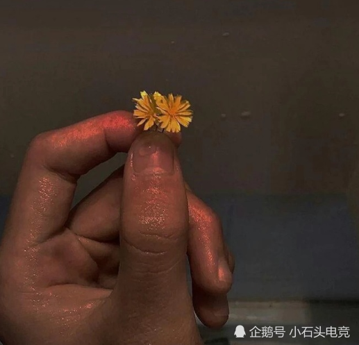 背景图 生活要能如期而至 我也会肆无忌惮的笑一回 看点快报