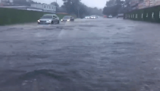 暴雨再次突袭太原!树吹断,车被砸,水深30公分!…破坏严重!出门当心了!