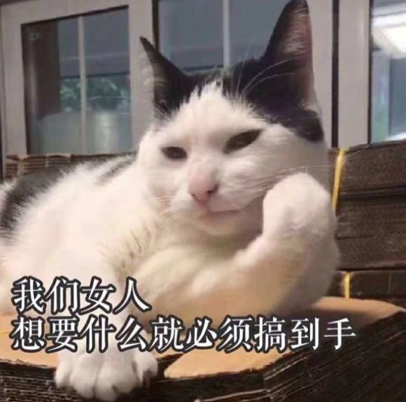 最近很火的动物表情包!