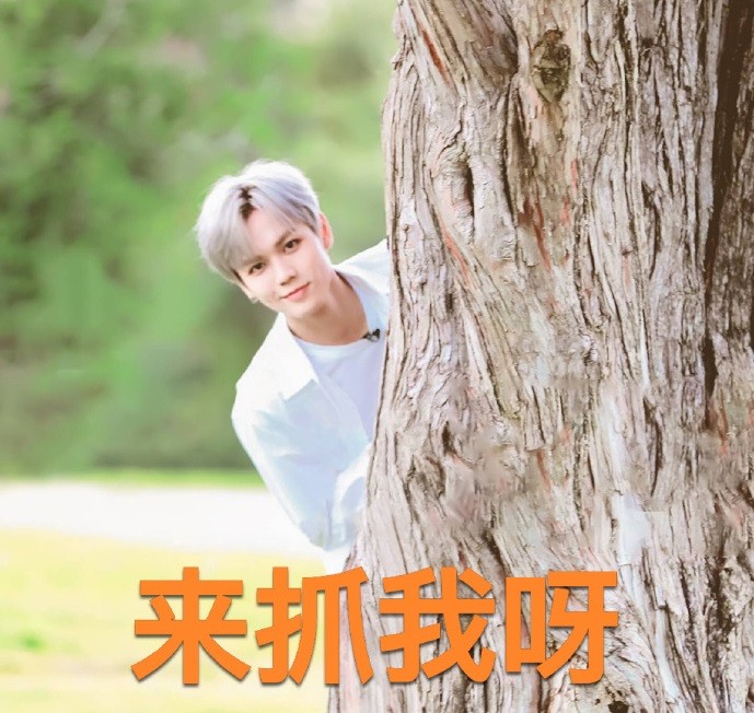 林彦俊表情包:狗狗你要乖乖听小橘的话哦,网友:太帅了
