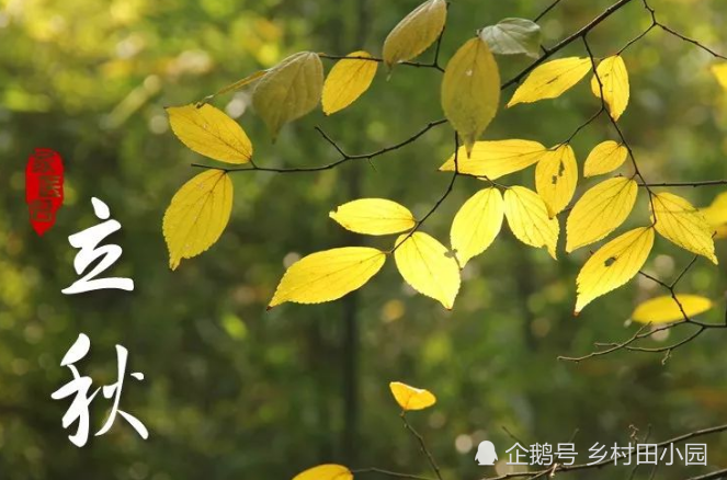 农村俗语"立秋有雨丘丘收,立秋无雨人人忧",立秋这天会下雨吗