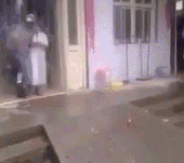 搞笑,趣图,gif,动图,笑话