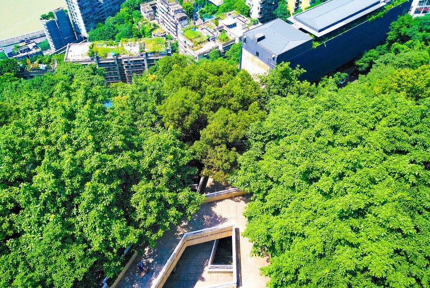 重庆鹅岭公园,前身为礼园,也称宜园