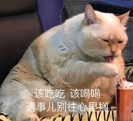 "沙雕"猫咪搞笑表情包