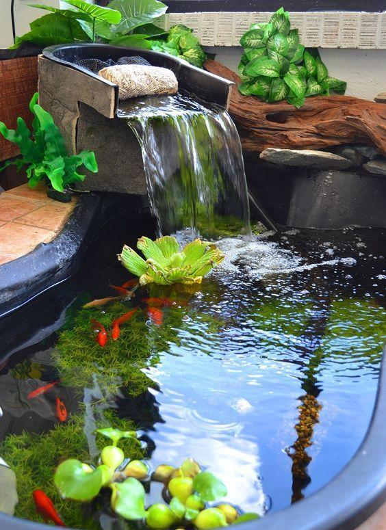庭院里挖鱼池,楼梯下挂瀑布,你家和豪宅之间就差一个室内水景!