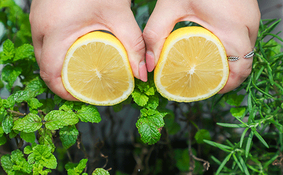 lemon tea