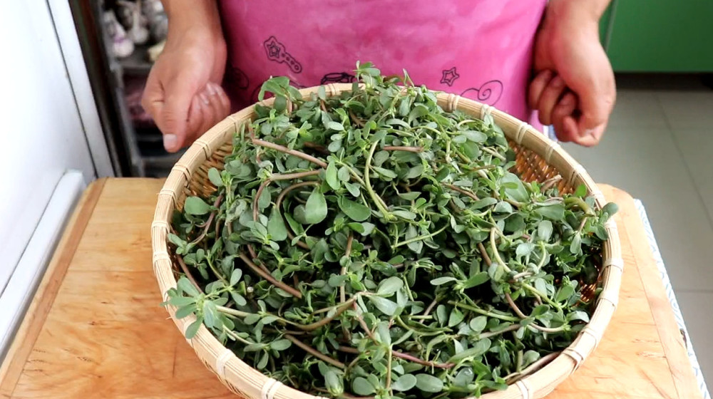 手把手教你在家蒸马齿苋包子,农家味,感受家的味道