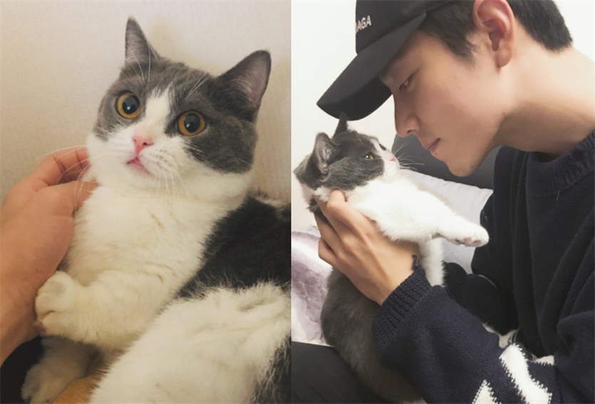 肖战多爱自己的"猫咪"?睡觉都要抱在怀里,网友:活得不