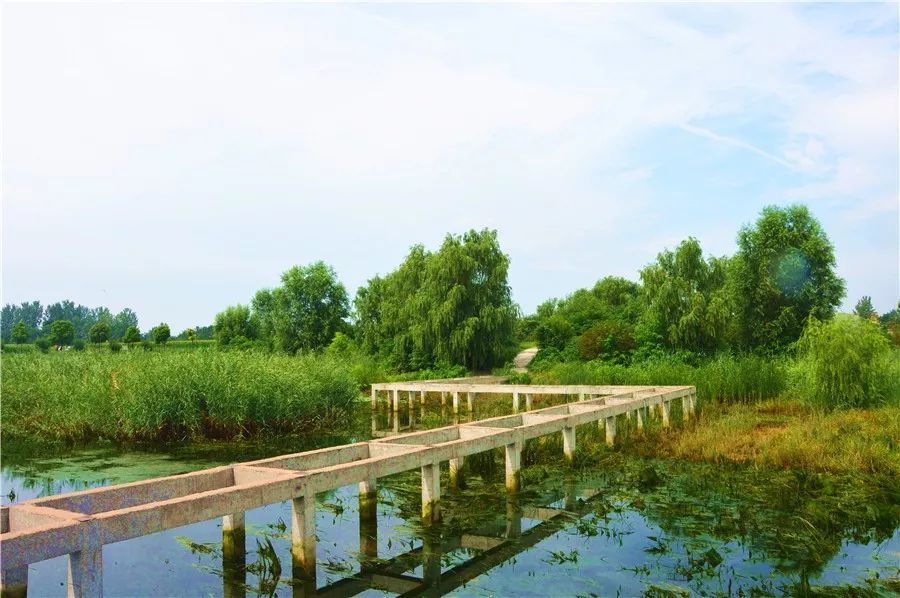 许昌这座220亩的湿地公园通水啦!
