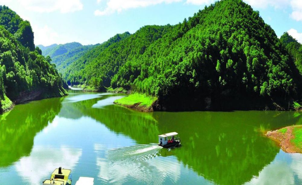 庄浪县,朝那湫,水洛城,苹果_植物