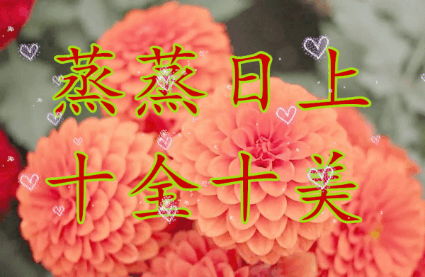 4月25日 清晨,早安一声祝福,祝愿远方亲爱的朋友,福体
