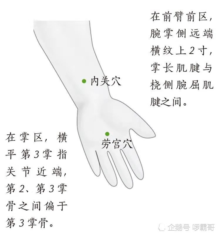 中医认为,人的五脏六腑都能在手掌上找到反射区,并且双手又是手三阳