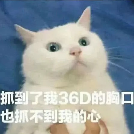 5张"小羞"流行表白表情包:撩不倒ta我算输!网友:必学