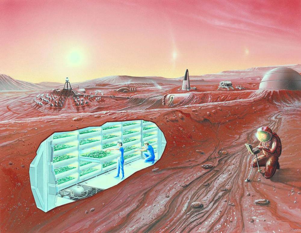 图解:艺术家对人类火星基地的构想,其中剖面图揭示了内部的园艺区域