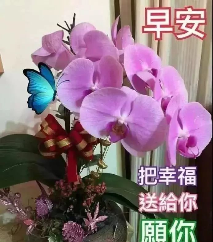 早安正能量问候语暖心,漂亮的早上好动态图片带字