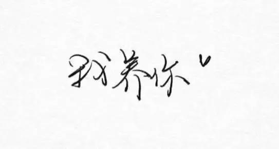 还记得《喜剧之王》里星爷说过那句爆火的话:"我养你吧",曾经一度成为