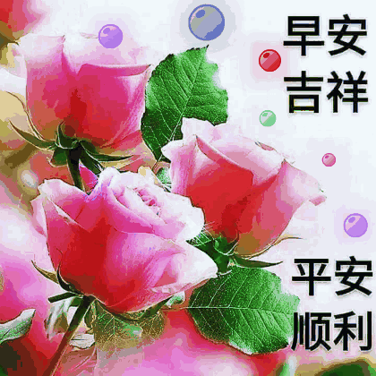 最新版漂亮早上好美图表情问候语录,朋友圈早上好暖心