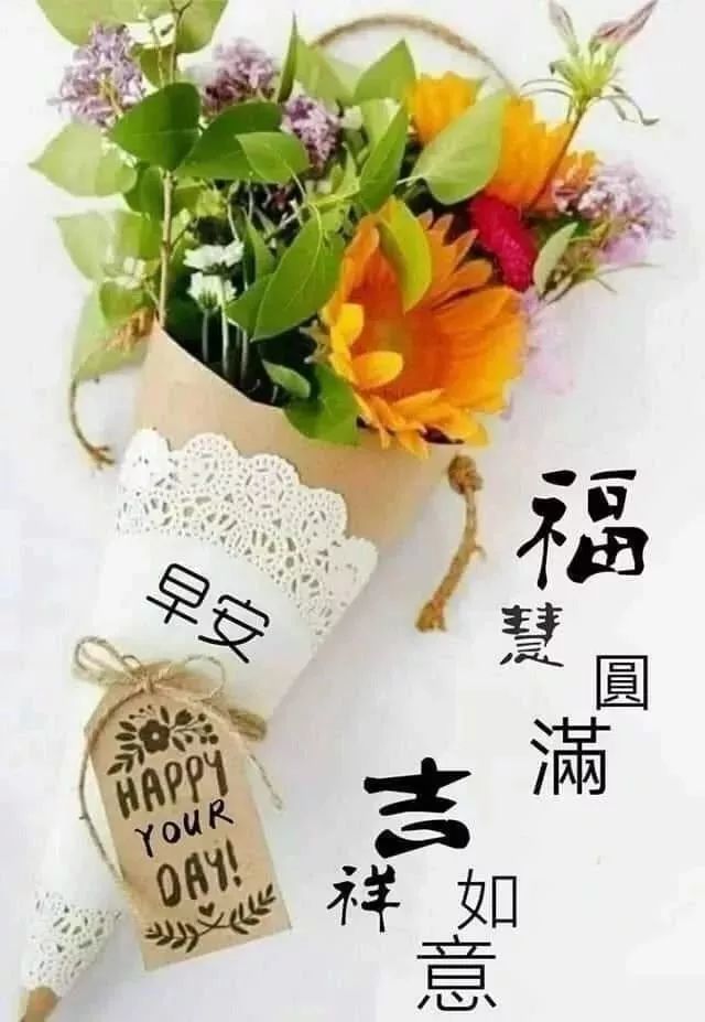 周六早上好问候语图片大全 朋友们早上好祝福语阳光句子2019