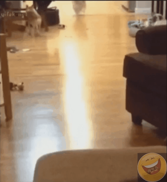 gif搞笑趣图厉害了这样的情况下竟然还可以进球