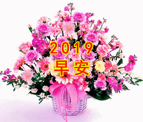 微信朋友圈最美早上好问候语表情动态图片