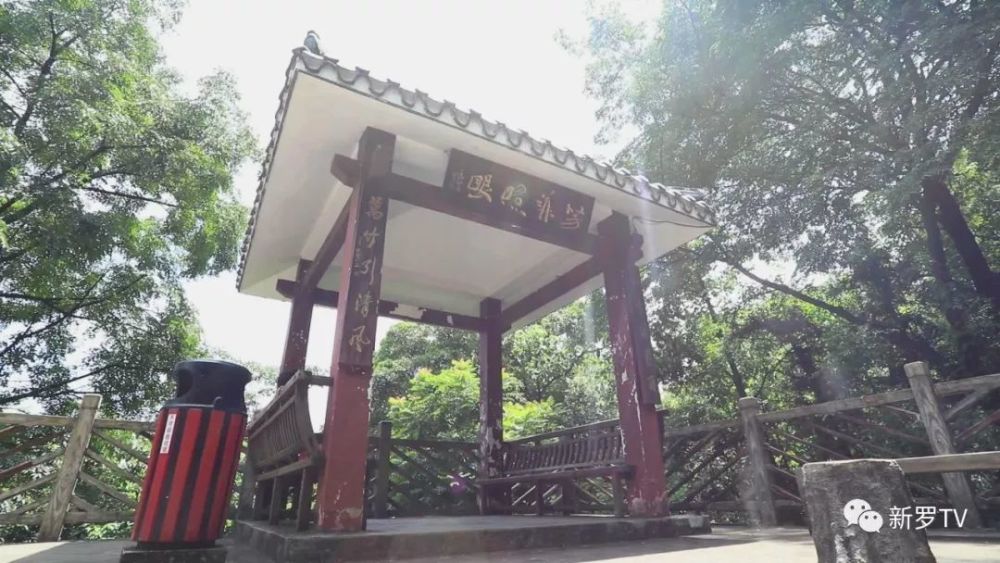 新罗区,重阳节,莲花山公园,古寺,山峰,融媒体中心,成峰,红尖山,栈道