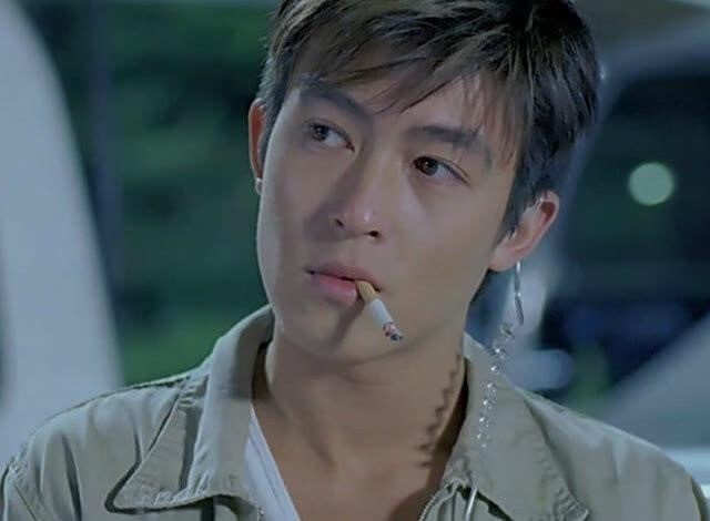 20世纪颜值巅峰的香港男星,谢霆锋陈冠希人气