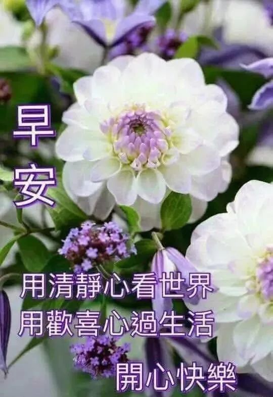 周末啦 很想给你打电话, 总是匆匆暂作罢.