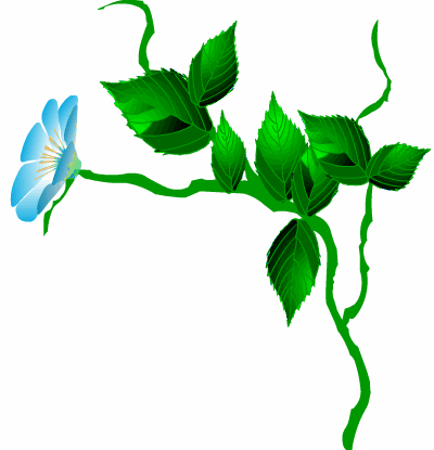 做人不可奸坦坦荡荡心才安做事不可懒踏踏实实走得远