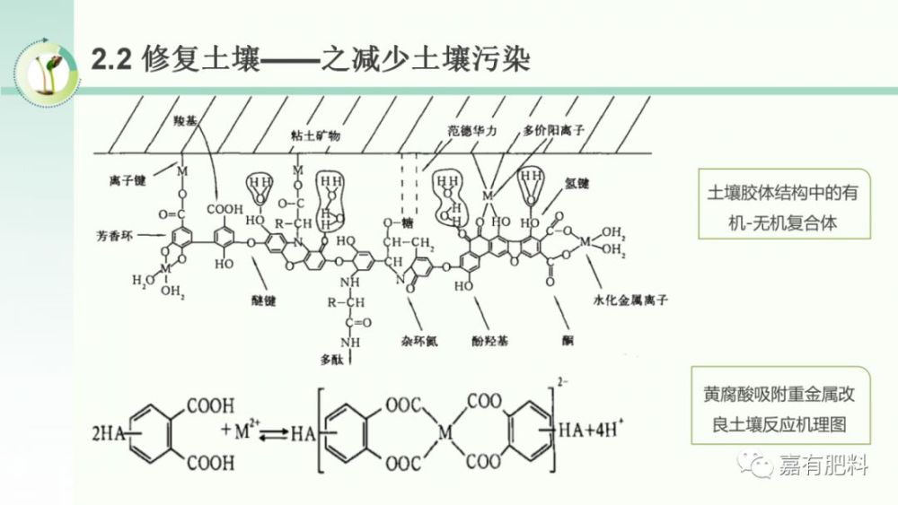是土壤中最好的腐植酸成分,是形成土壤团粒结构的核心