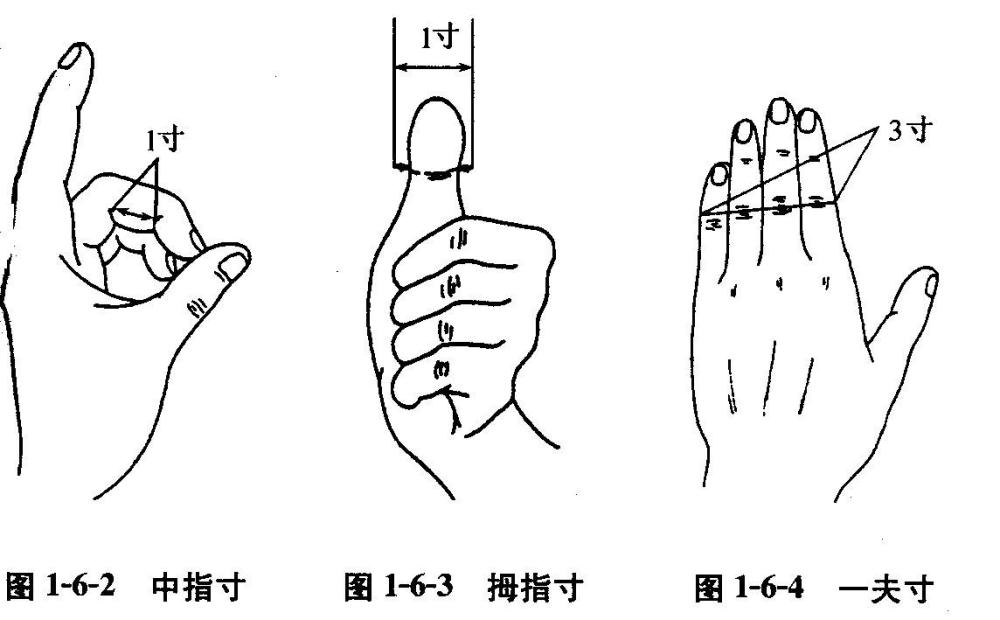 人中短于一寸,阳气不足!中医望诊精髓