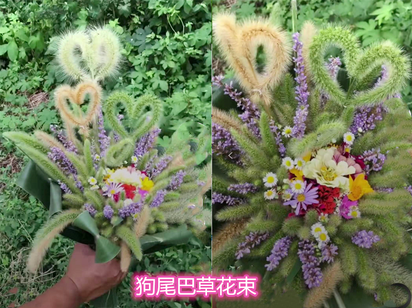 最后这个是狗尾巴草花束,用狗尾巴草弄成心形,中间用小野花来点缀,最