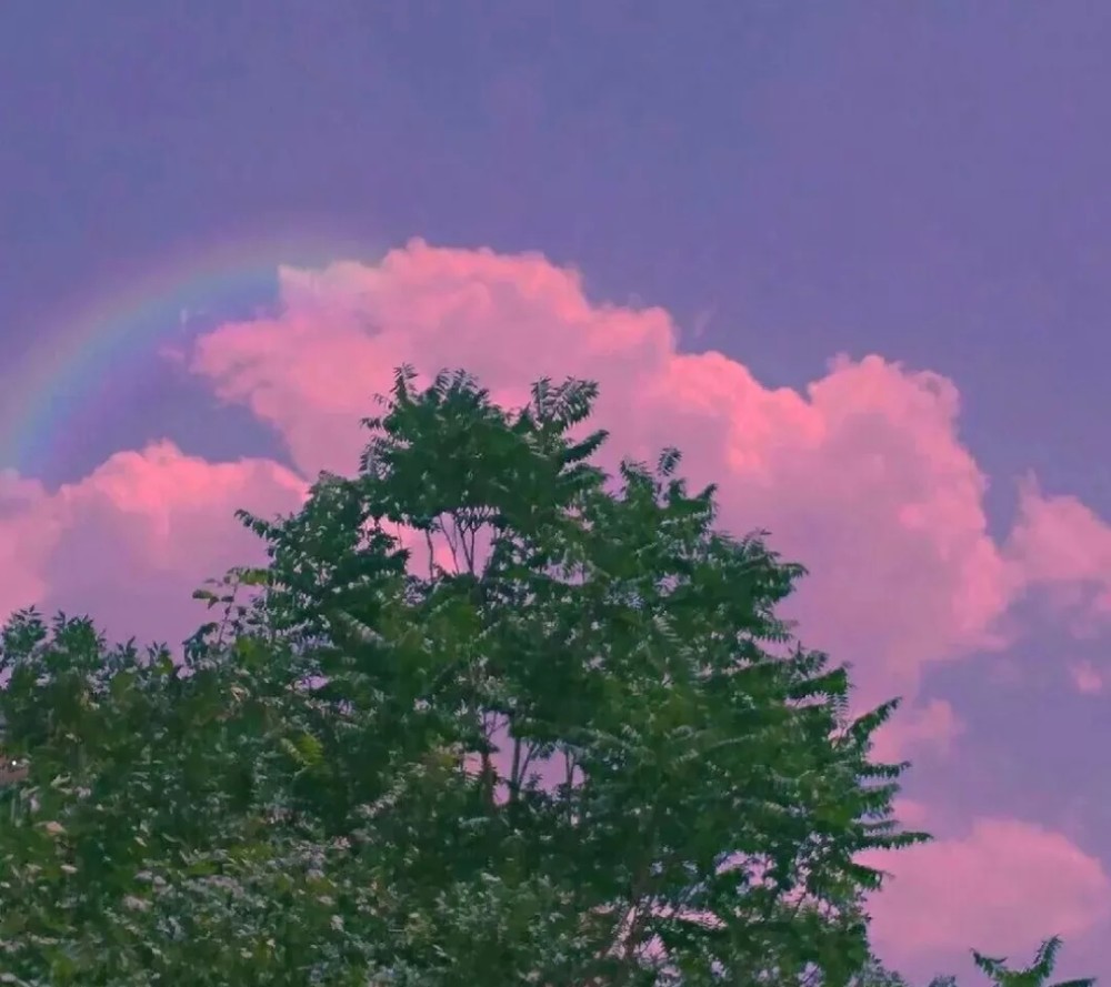 朋友圈背景图:好看的背景图万里挑一,听说可爱的人都收藏了
