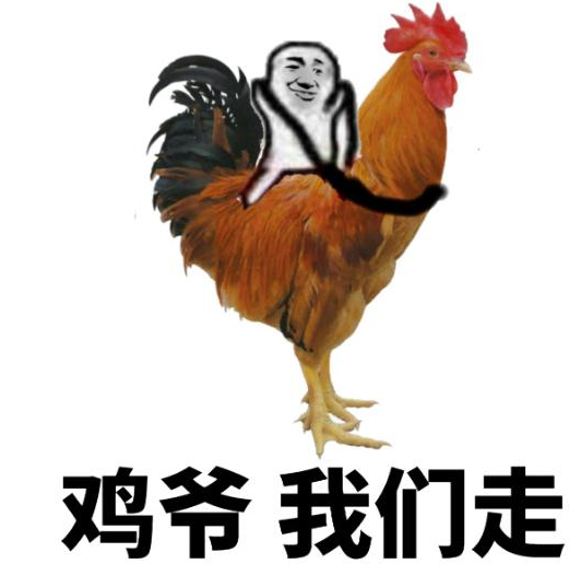 幽默笑话,"爸爸说的没错,这天根本就不适合放鸽子"