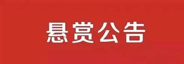 上海市嘉定区人民法院发布最新悬赏公告!