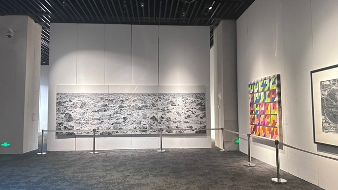 第六届进博会文物艺术品板块展区面积历年最大，自贸区持续为其提供制度保障