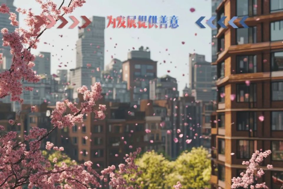全红婵，引爆的不止是那个村子