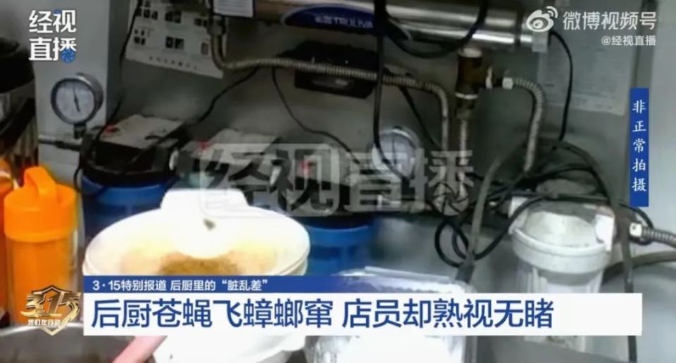 华莱士被曝蟑螂窜、苍蝇飞！店长：比起食品安全，更关心业绩…负责人刚刚回应