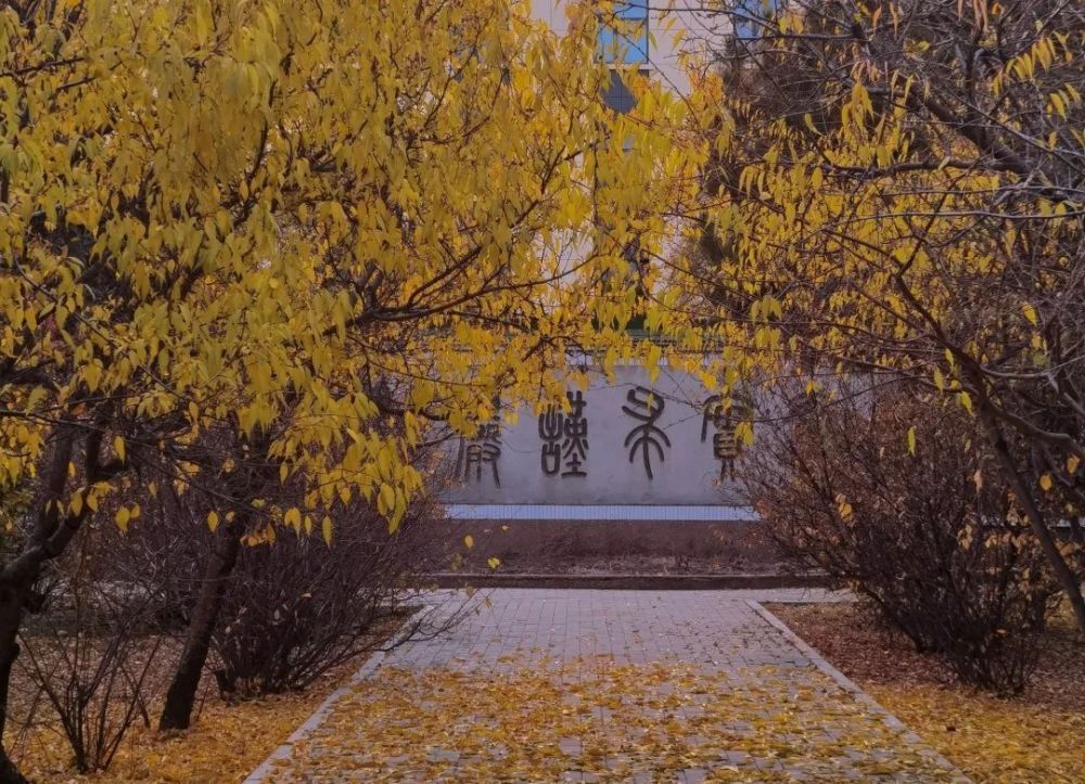 内蒙古大学考研丨回眸秋天里的内大_腾讯新闻(2023己更新)插图6